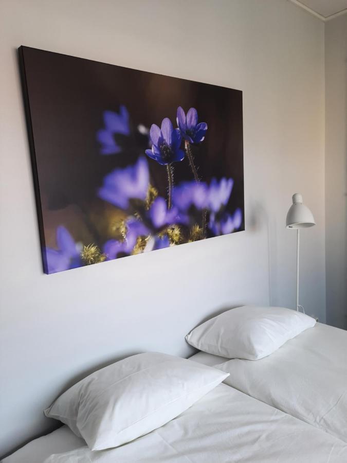 Broholm Bed&Breakfast Lidköping Extérieur photo